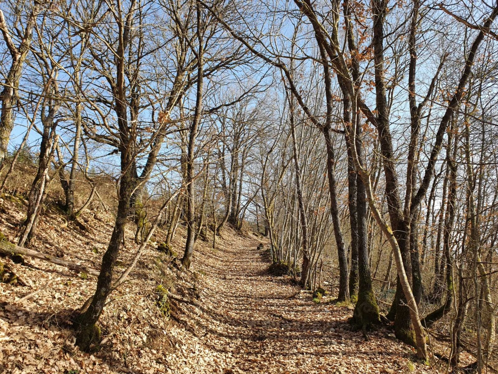 Sentiero di montagna a Norcia tra alberi